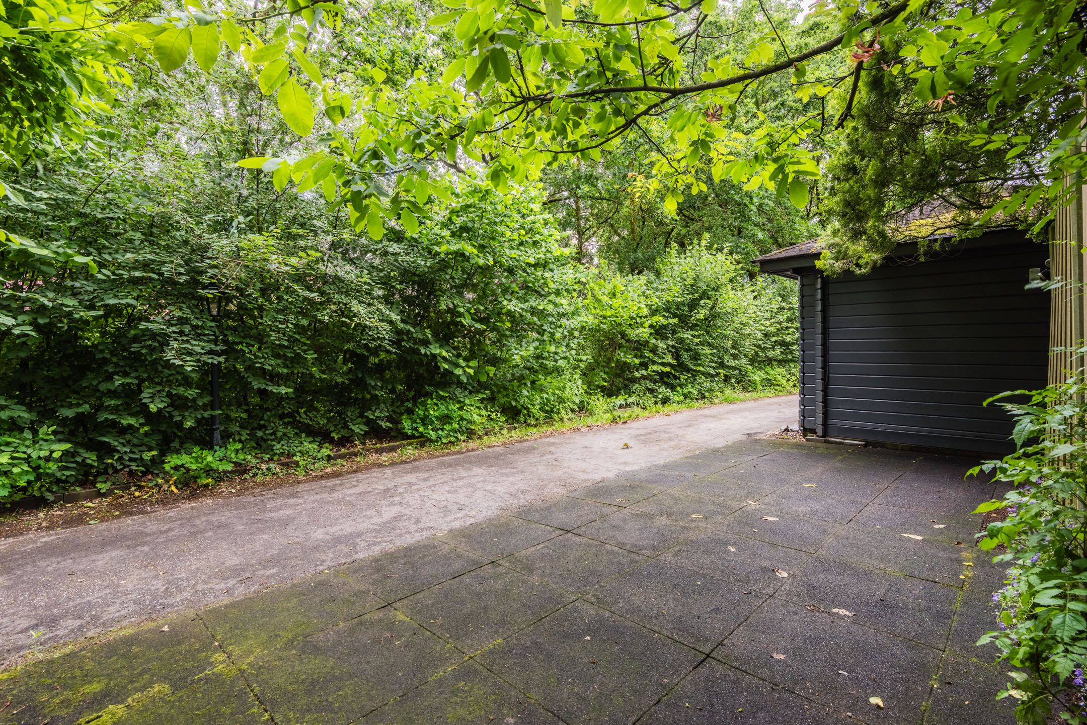 Photo 51 of Wildforsterweg 17-153