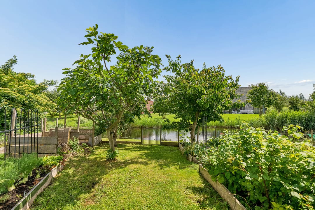 Foto 61 van Buitenplaats Oosterwold 78