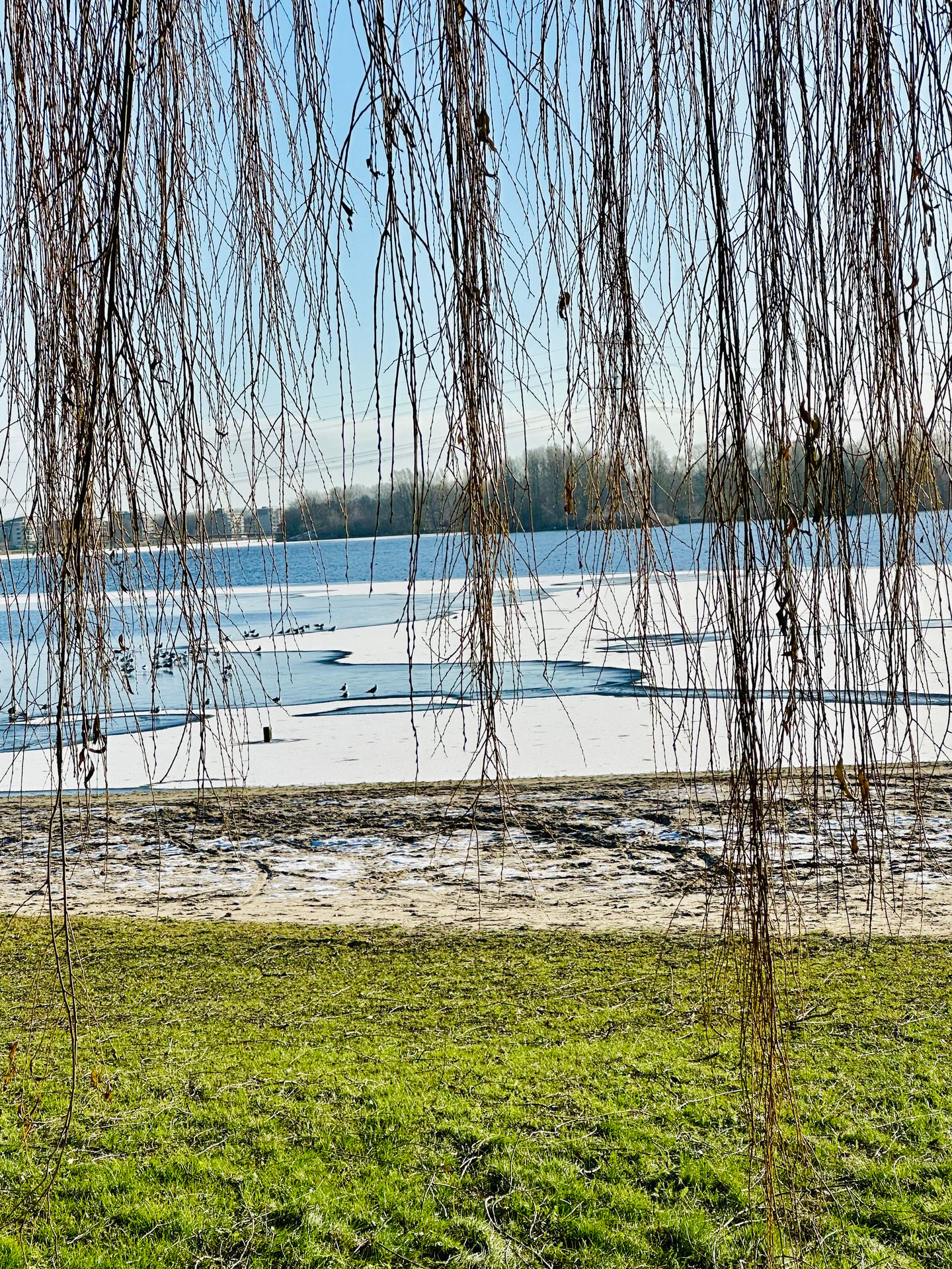 Photo 40 of Vollenhoveschans 9