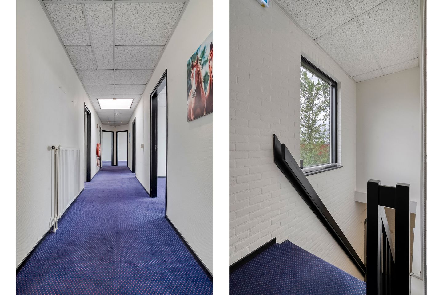 Bekijk foto 3 van Morsestraat 4