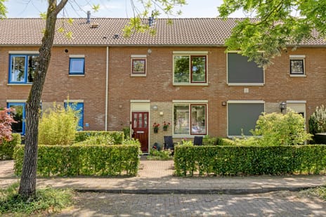 Palladiostraat thumbnail