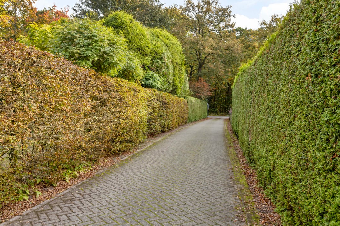 Photo 52 of Kemperbergerweg 707