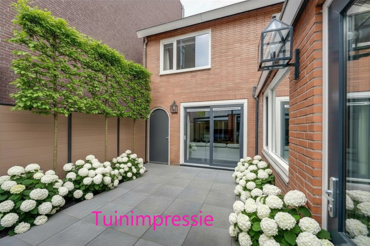 Foto 4 van Molenstraat 1