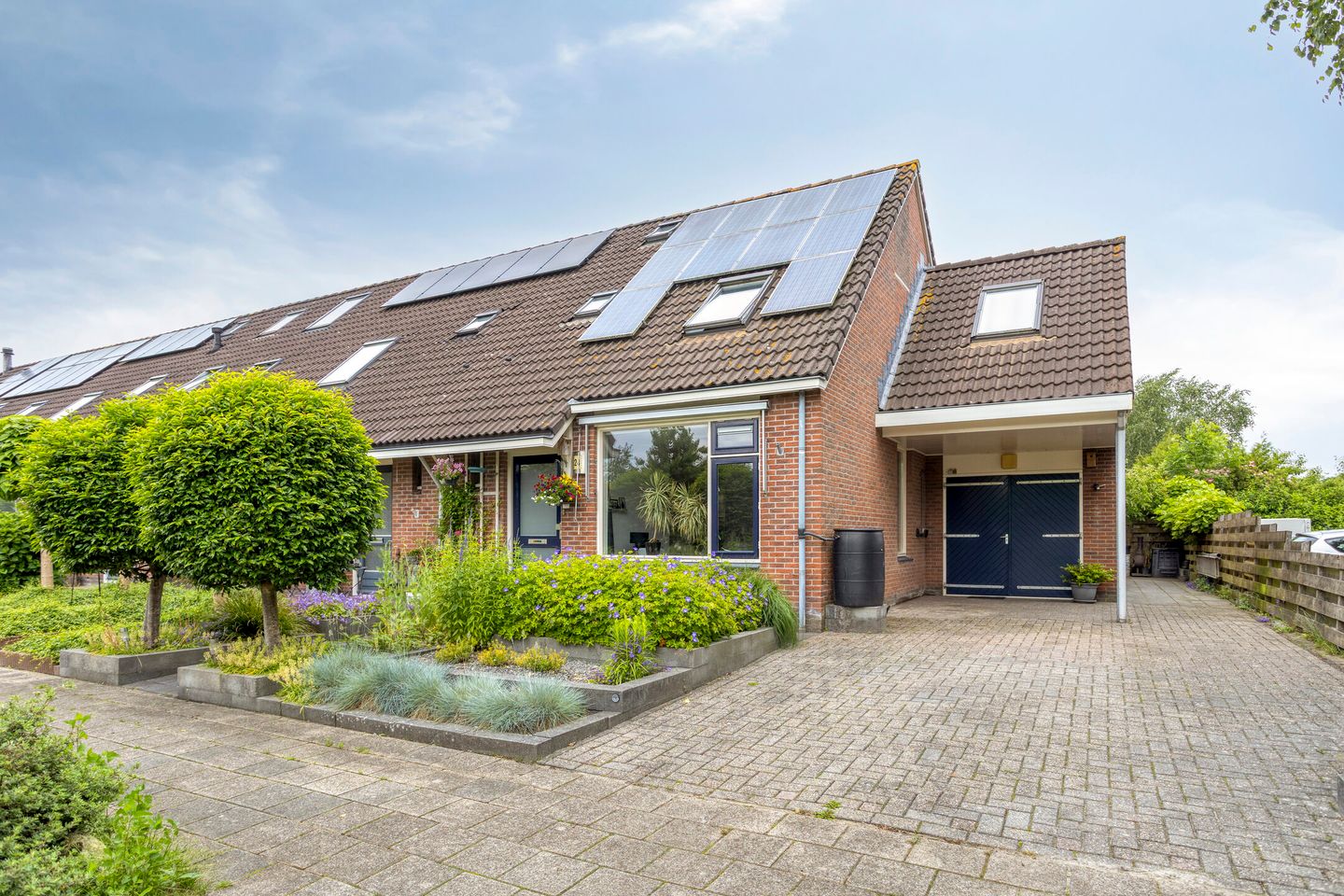 Photo 1 of Koekoeksbloem 24