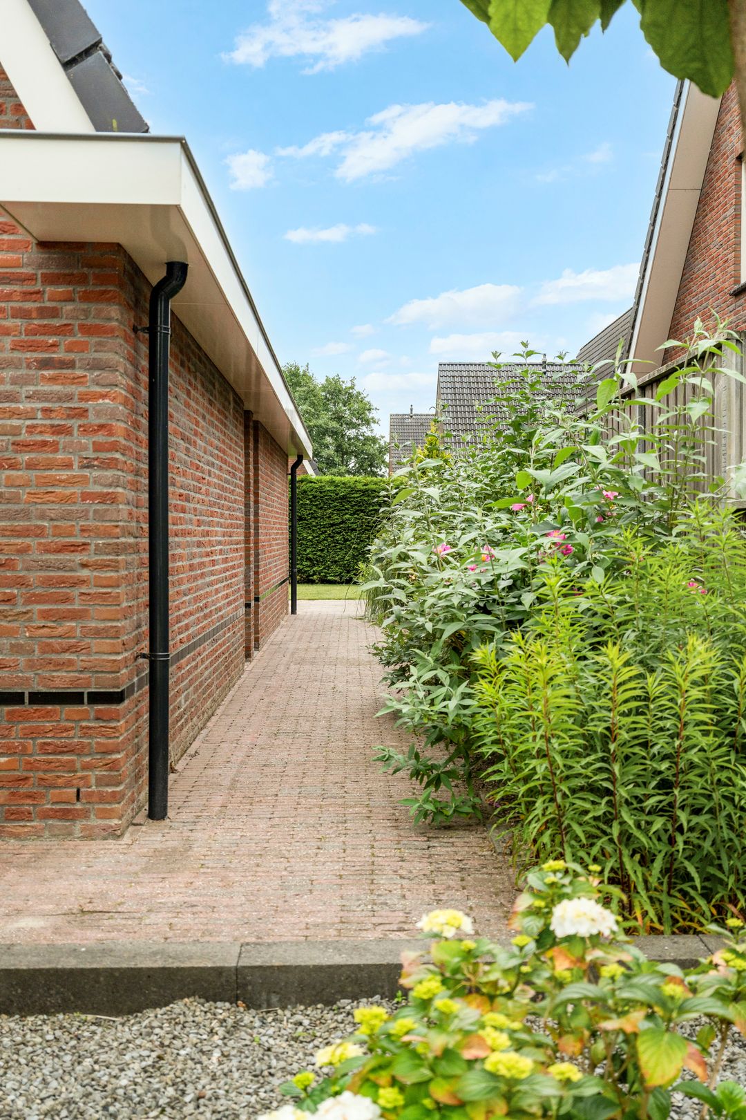 Foto 41 van Werfstraat 20