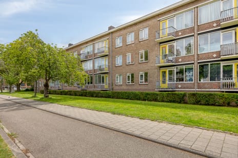 Louise de Colignystraat thumbnail
