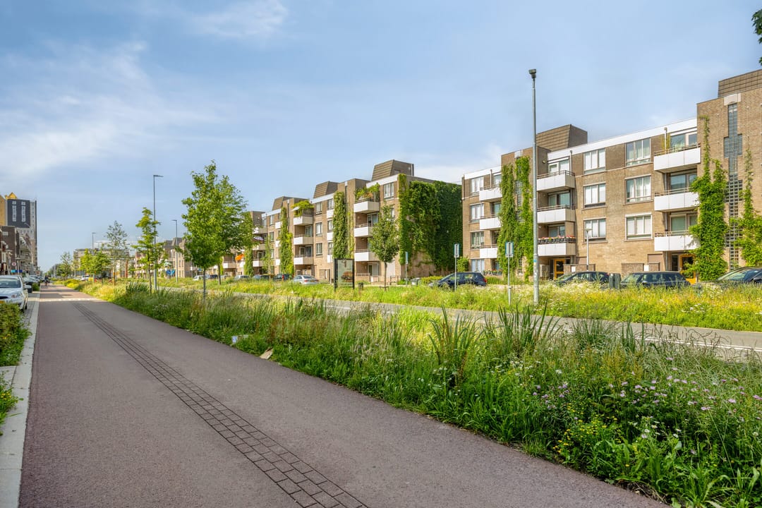 Foto 28 van Boschdijk 187-41