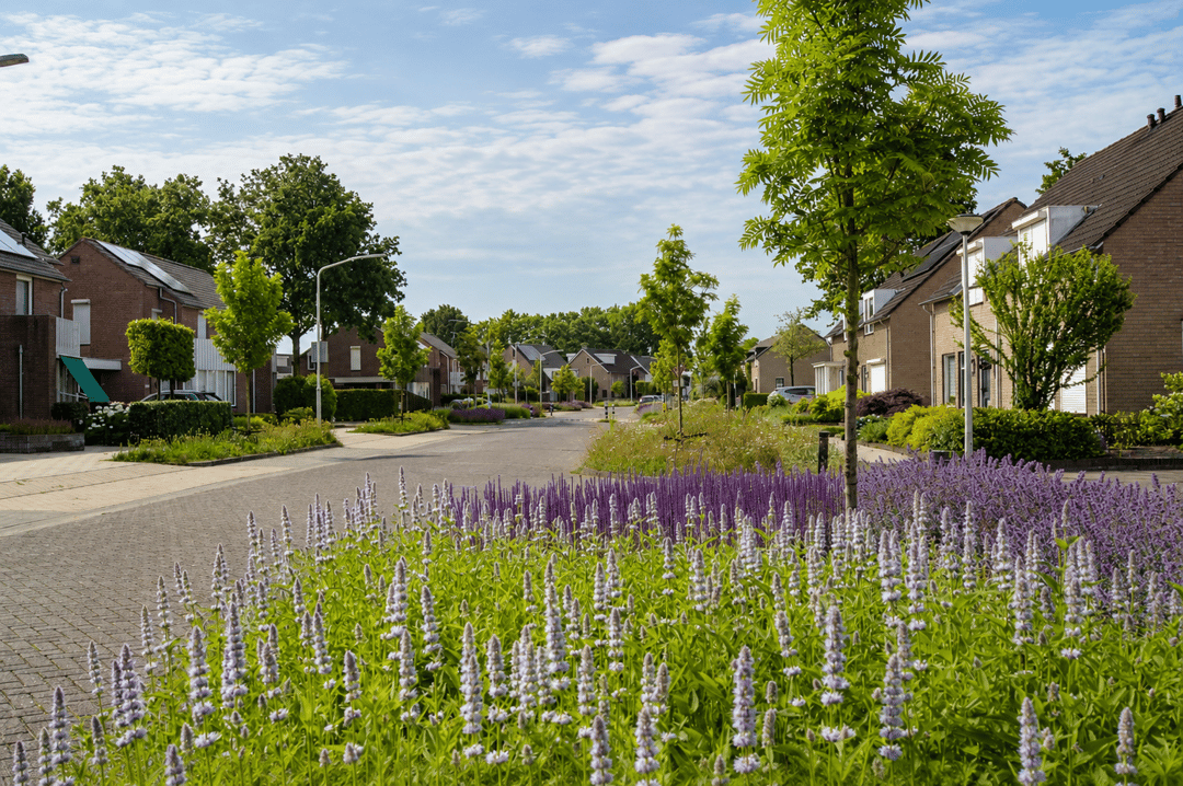 Photo 26 of Peellandsingel 110