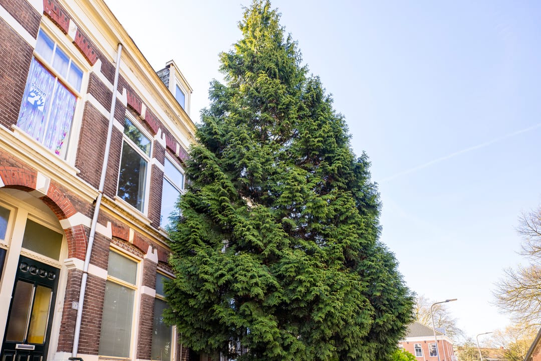Photo 22 of Jacob Canisstraat 79