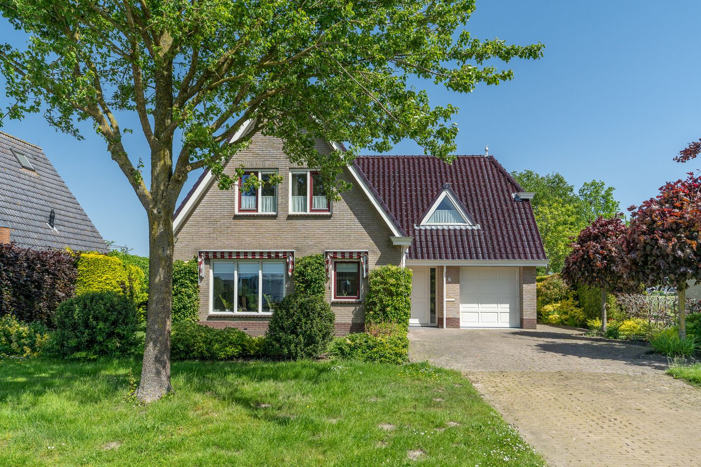 Foto 5 van de Hooidollen 6