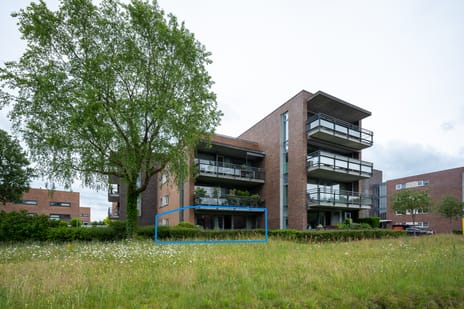 Stoepveldsingel thumbnail
