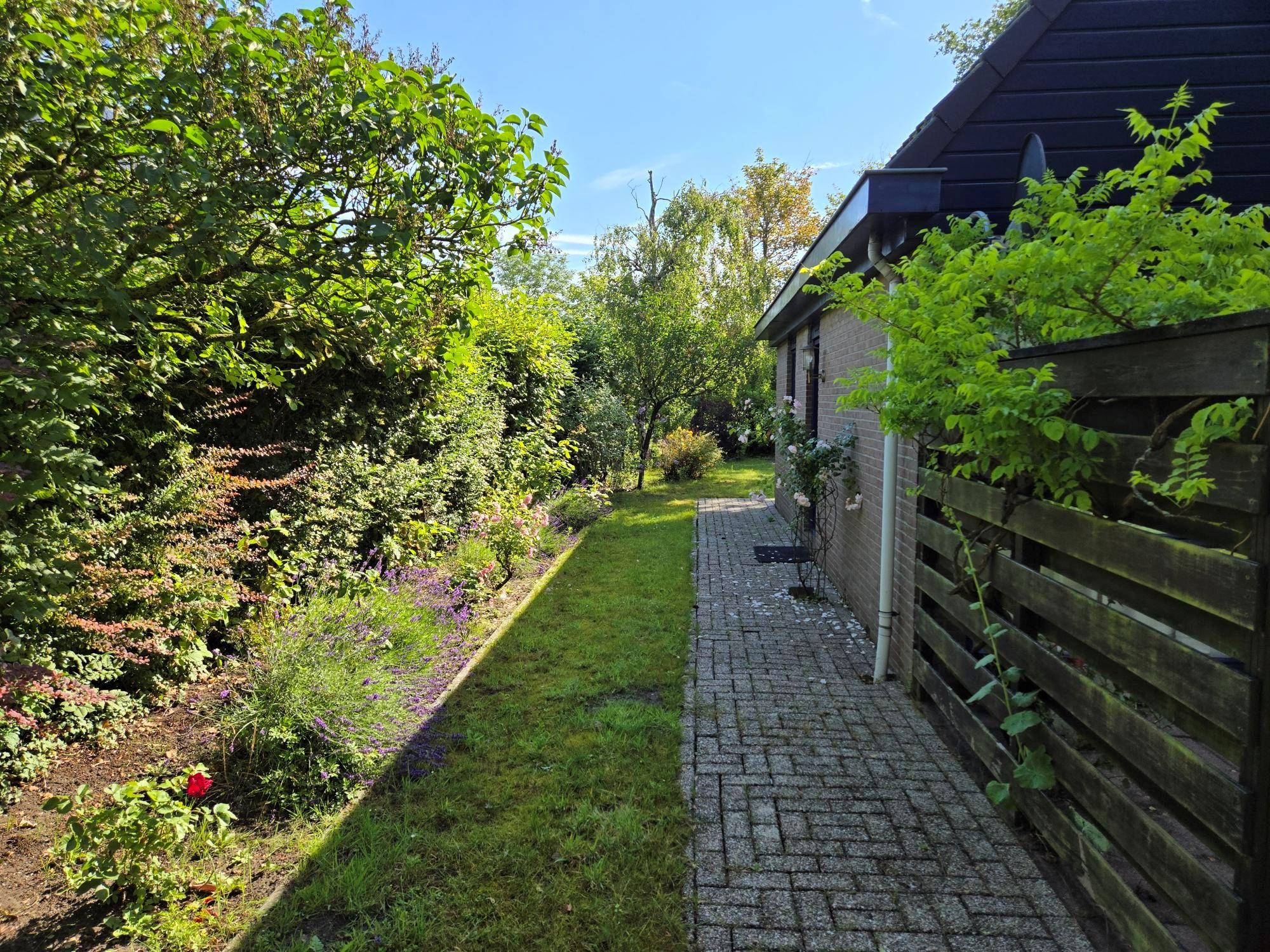 Photo 6 of Het Baken 126