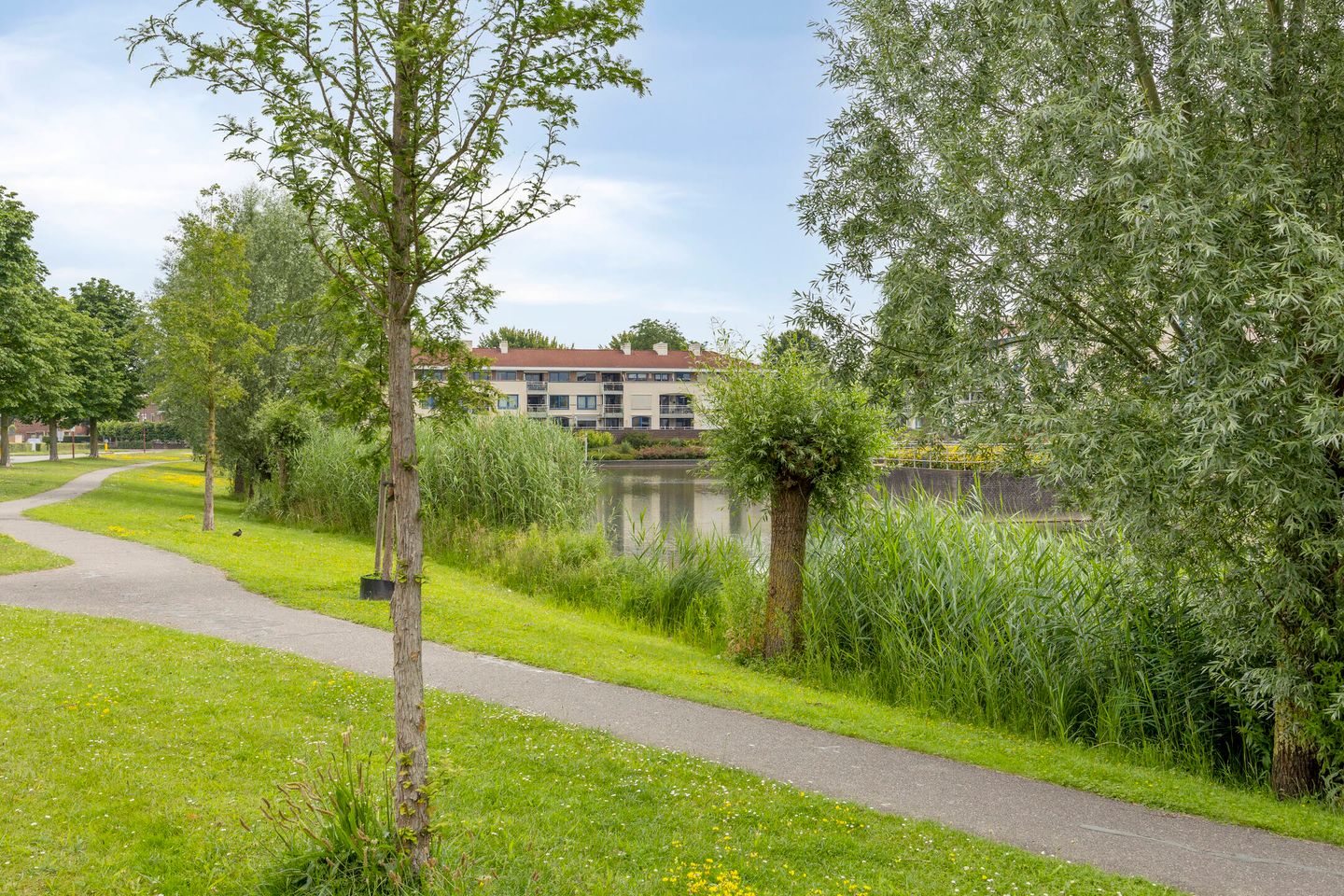 Foto 44 van Lagunesingel 8