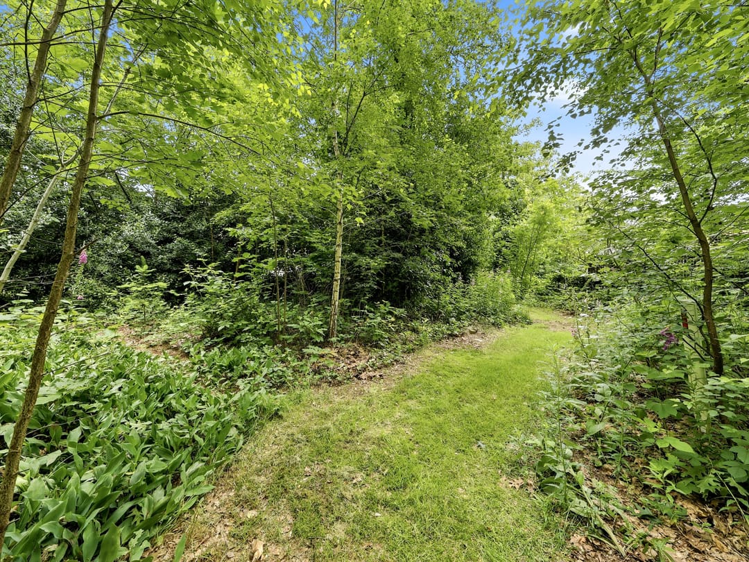 Photo 41 of Almenseweg 29