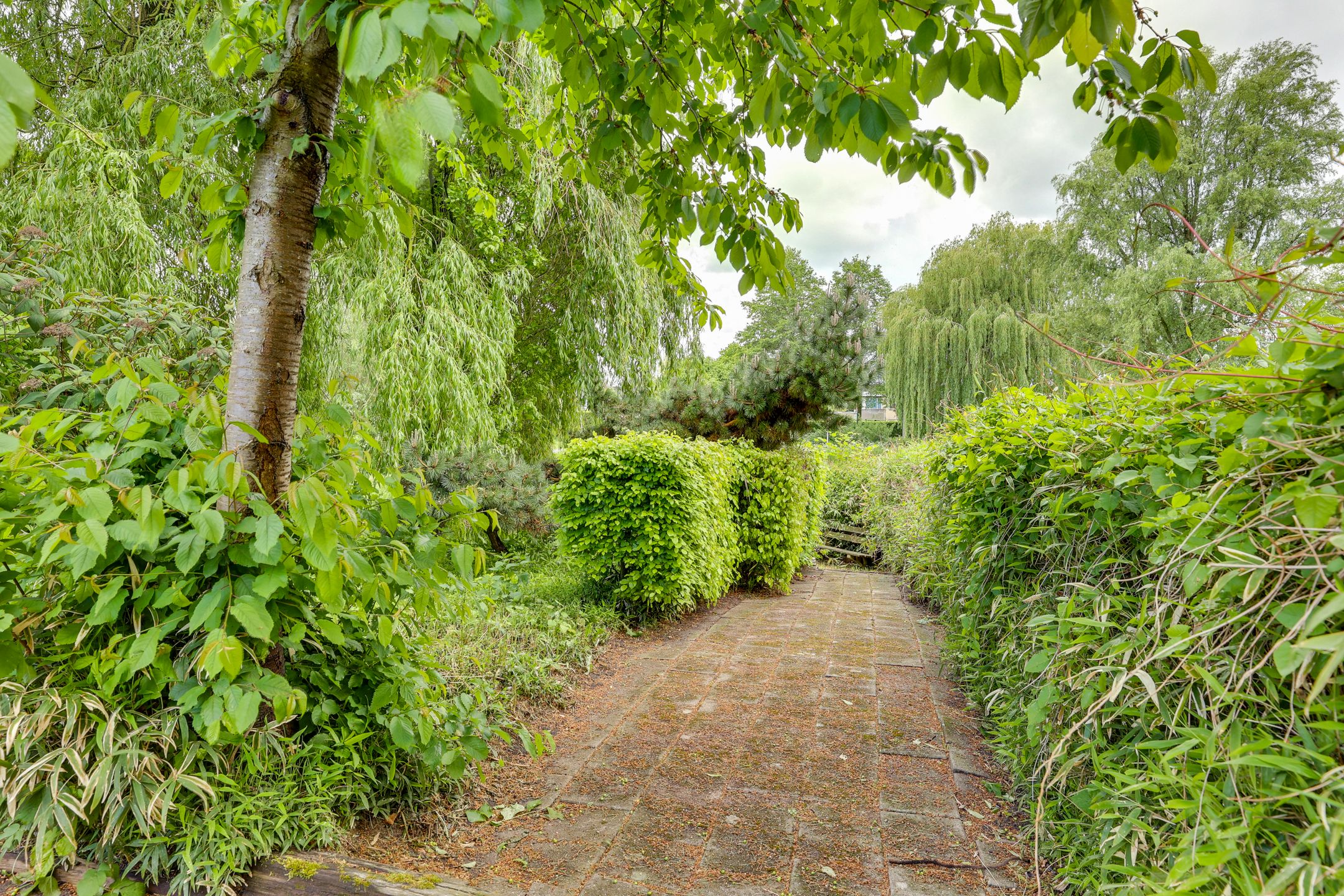 Photo 36 of Dorpsweg 4-B