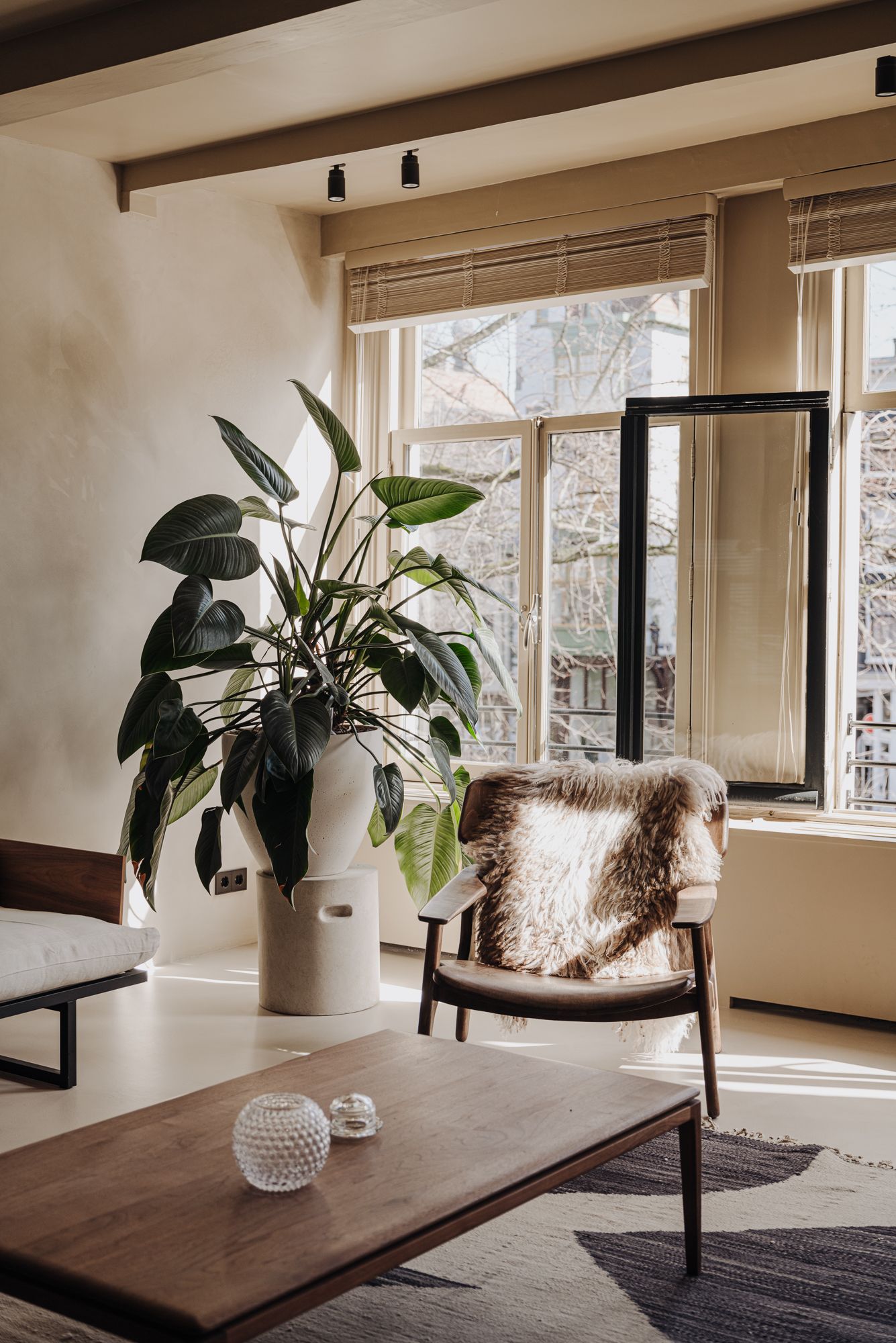 Photo 5 of Herengracht 242-B