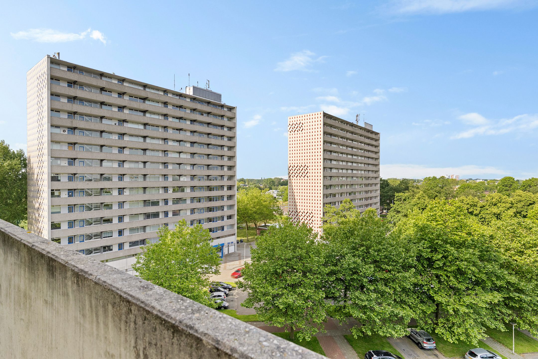 Photo 39 of Tjaarda 356