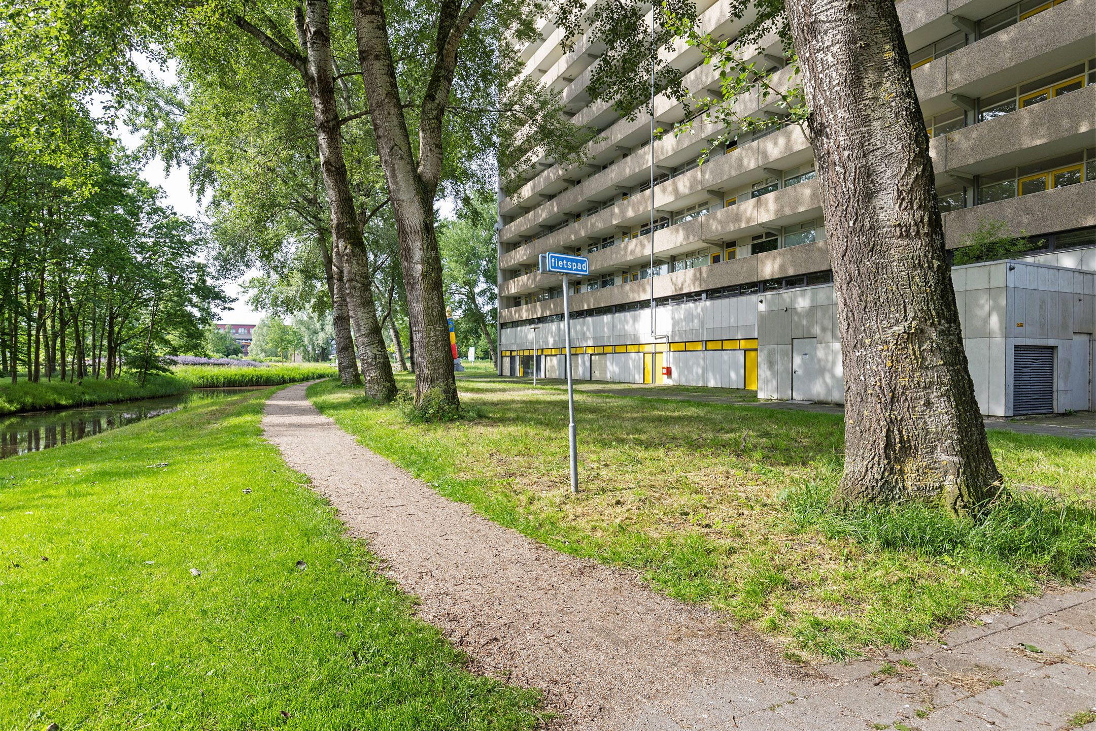 Photo 33 of Tjaarda 356