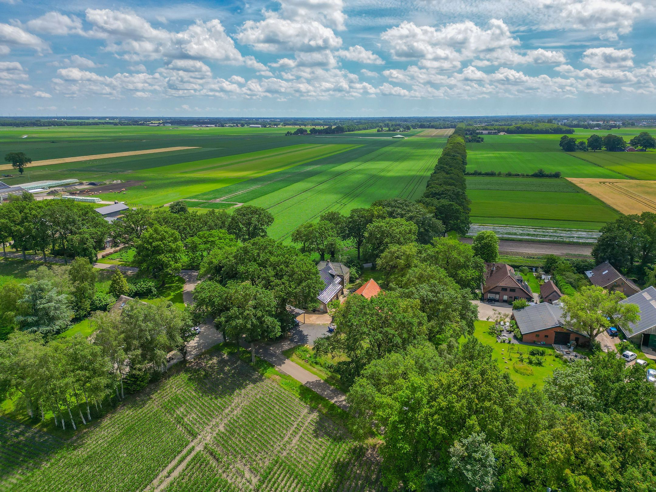 Photo 3 of Wilhelmsweg 72