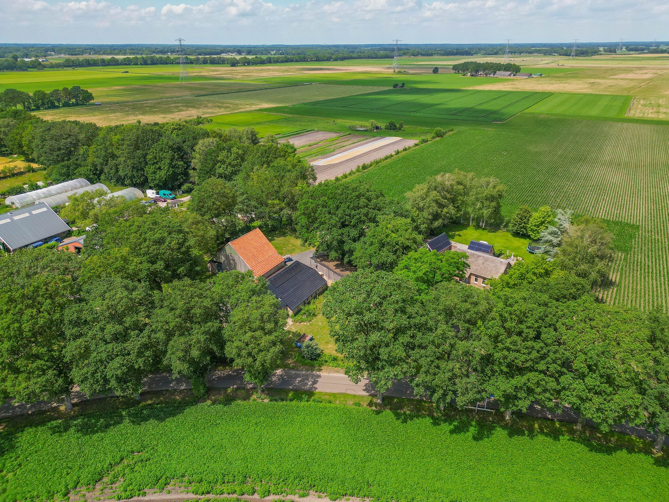 Photo 6 of Wilhelmsweg 72