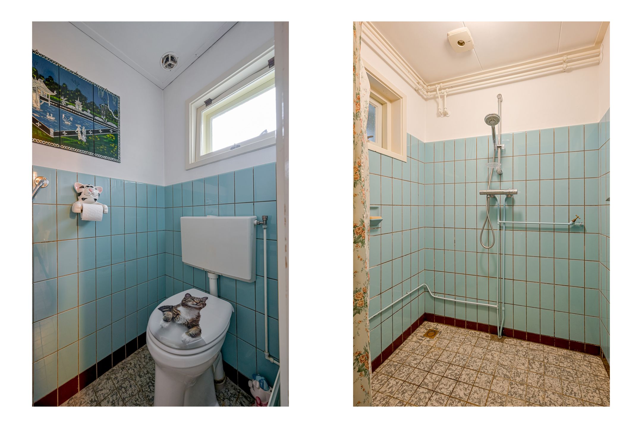 Photo 39 of Kluiten 31