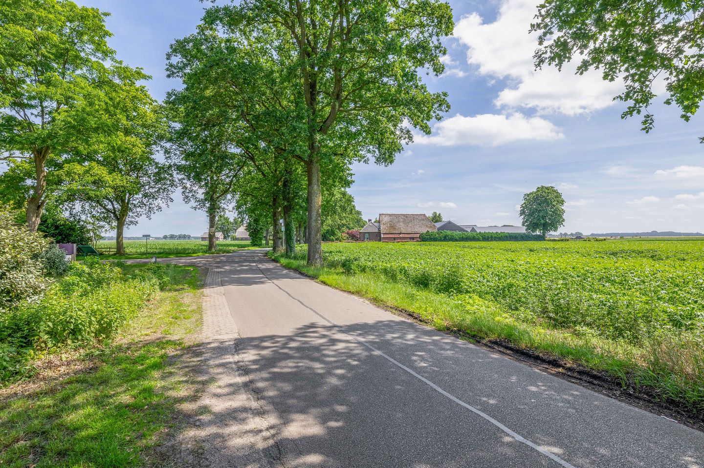 Photo 74 of Wilhelmsweg 72