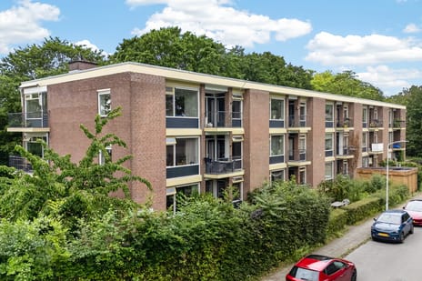 Van 't Hoffstraat thumbnail