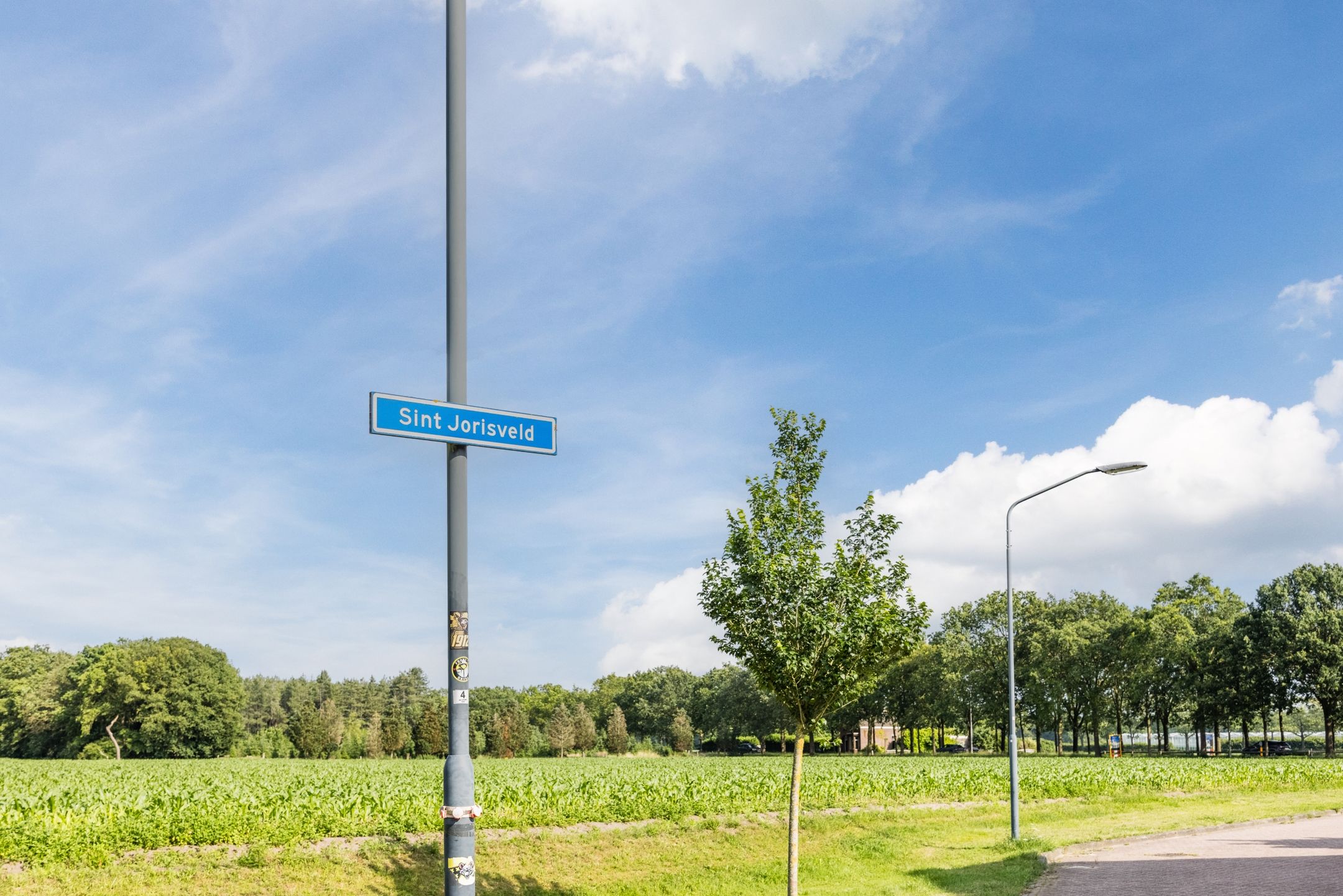 Photo 36 of Sint Jorisveld 41