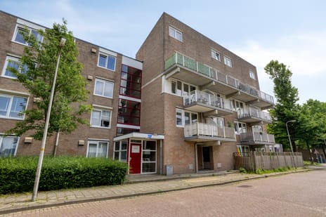 Trijpstraat thumbnail