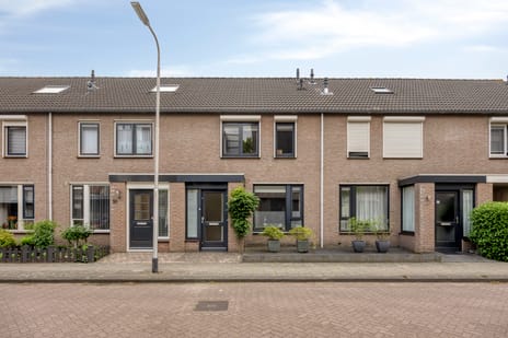 Kamperfoeliestraat thumbnail