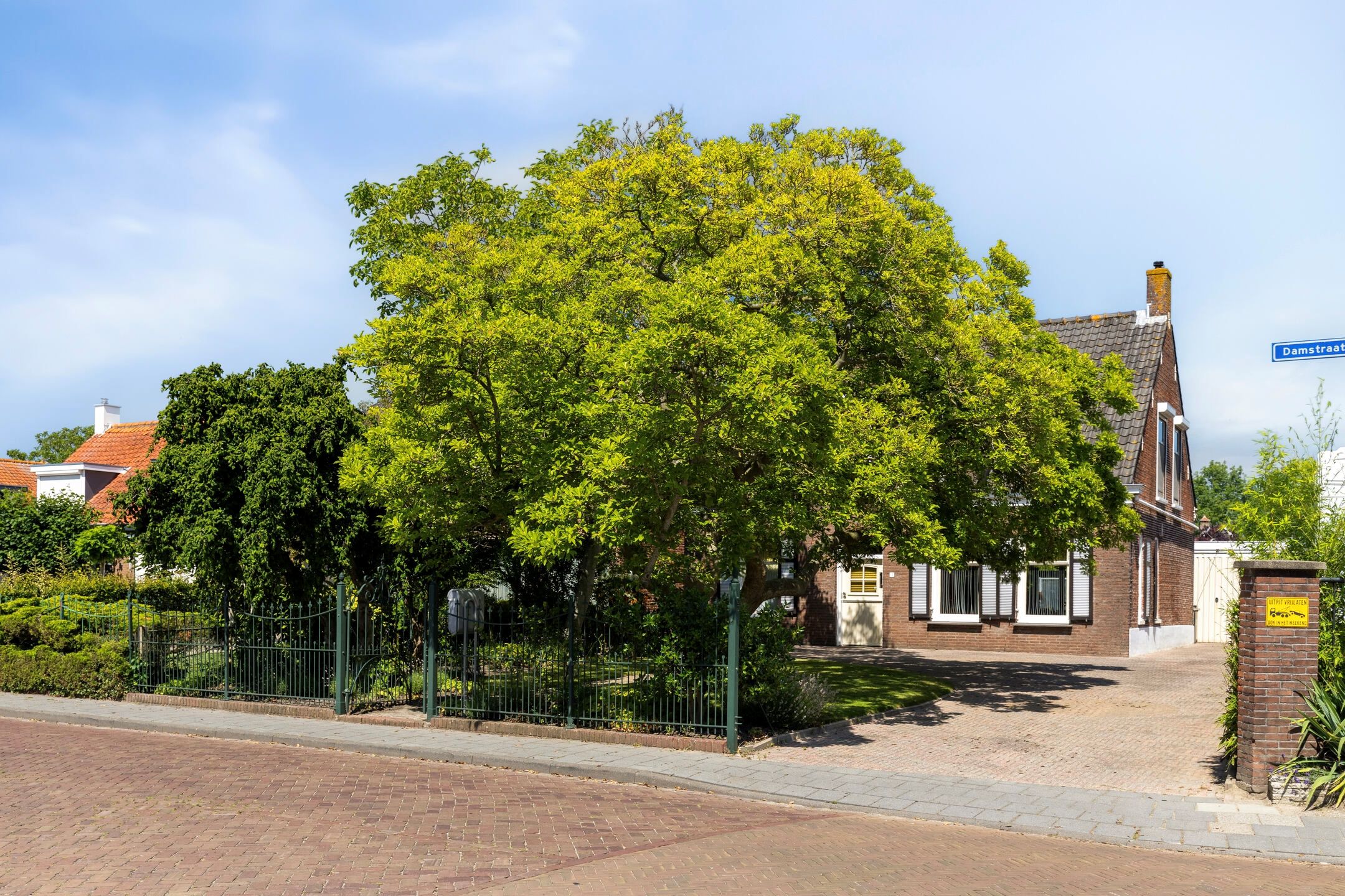 Photo 48 of Damstraat 23