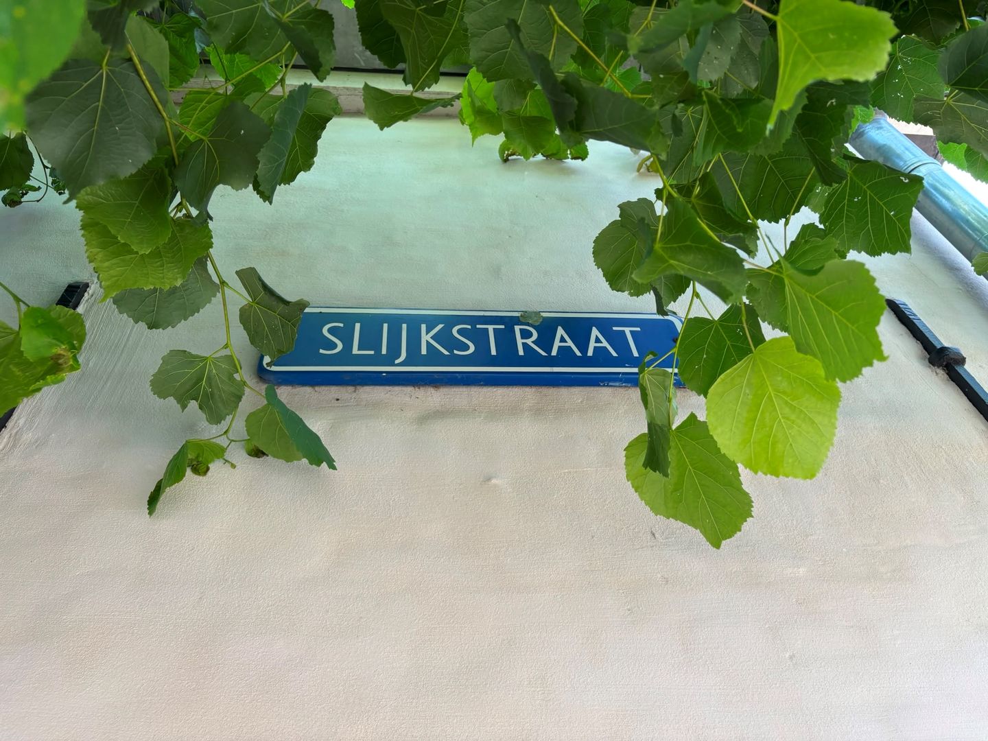 Photo 35 of Slijkstraat 3