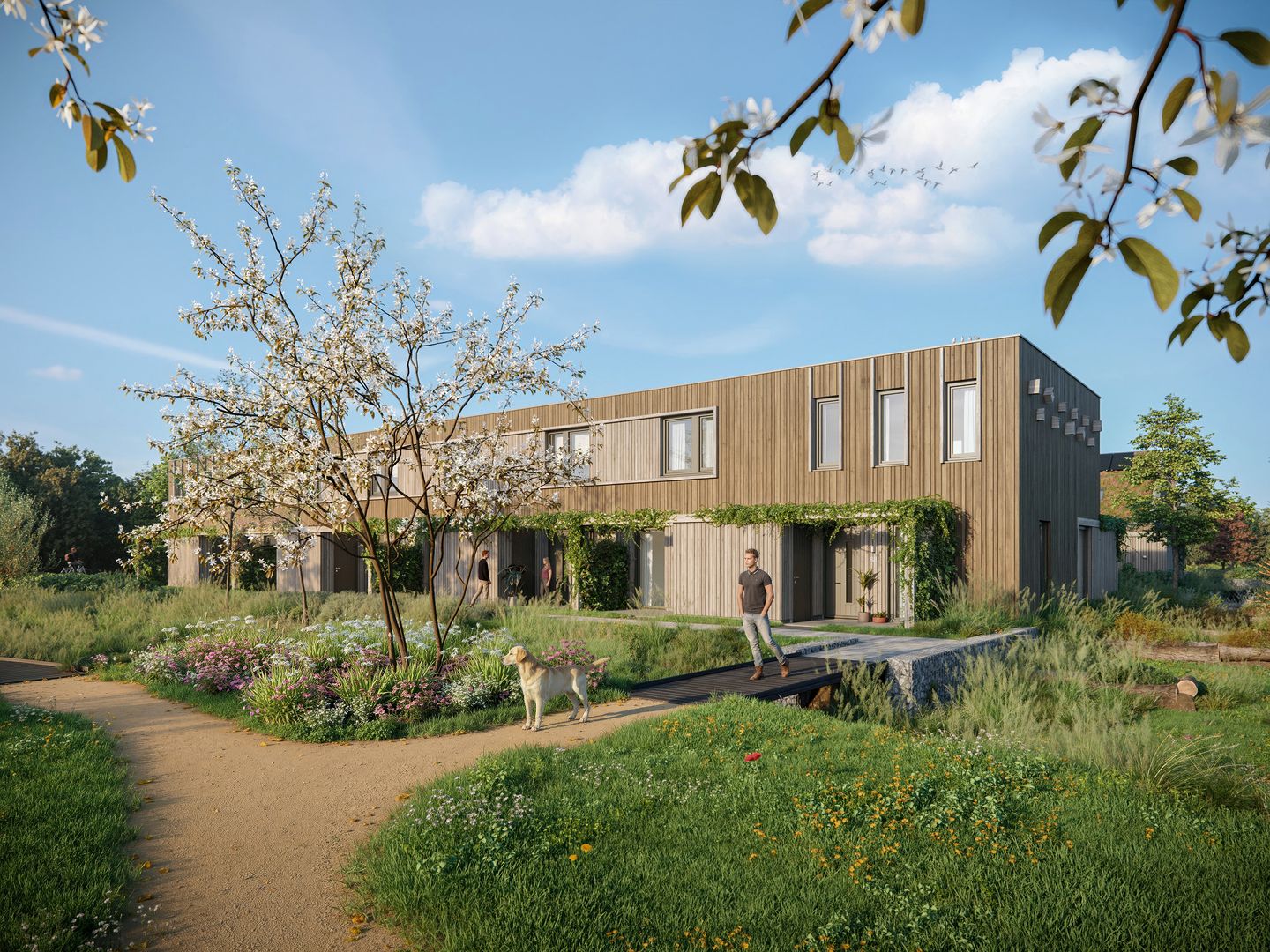Foto 1 van Tussenwoningen veld 2 (Bouwnr. 13)