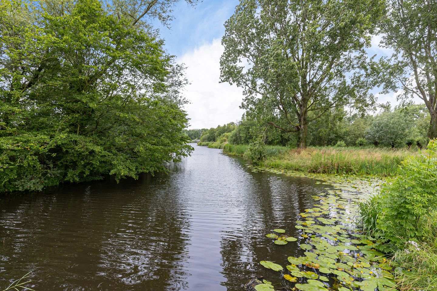 Photo 19 of Treinweg 1