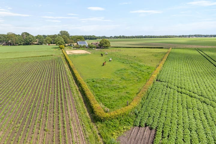 Foto 4 van Rieweg 1