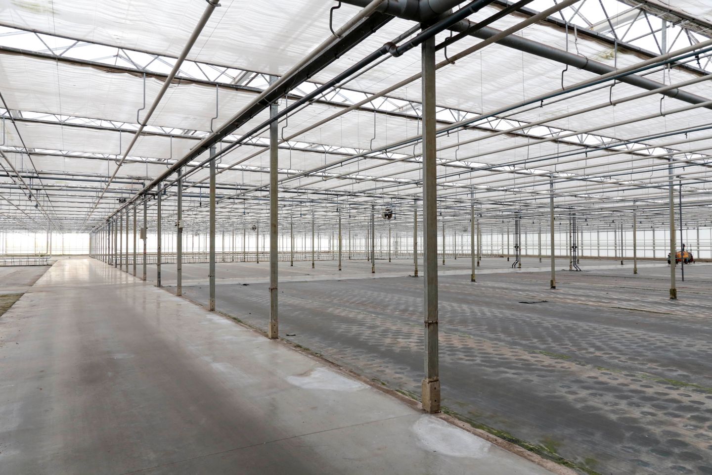 Maaseikerweg 189 - Weert - Afbeelding 5