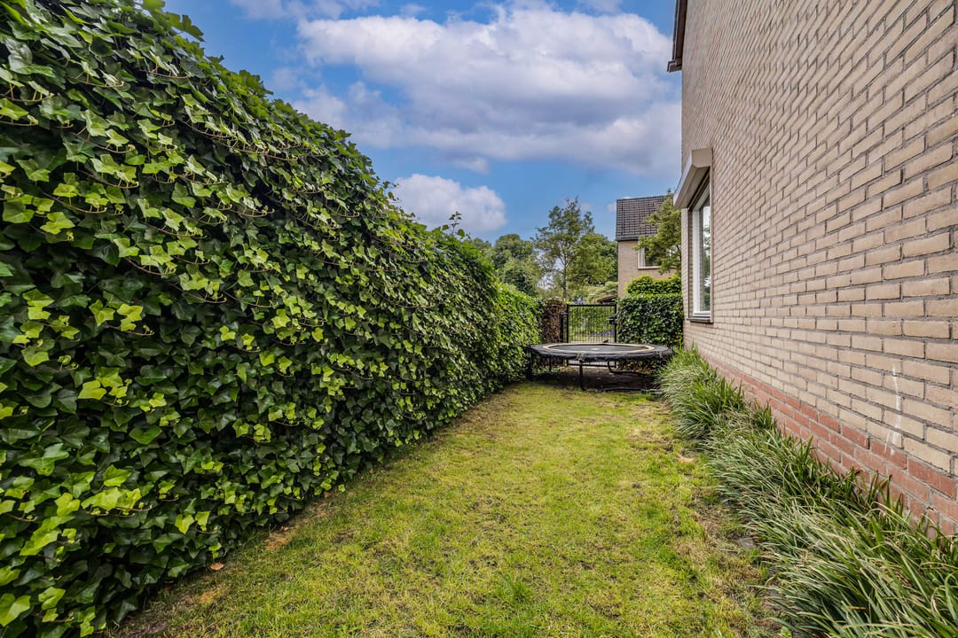 Photo 43 of Van Solmsstraat 15