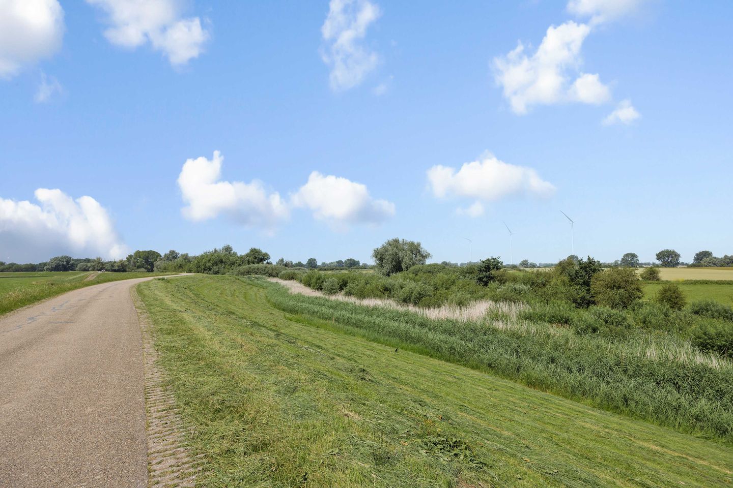 Foto 35 van Rijstveld 44