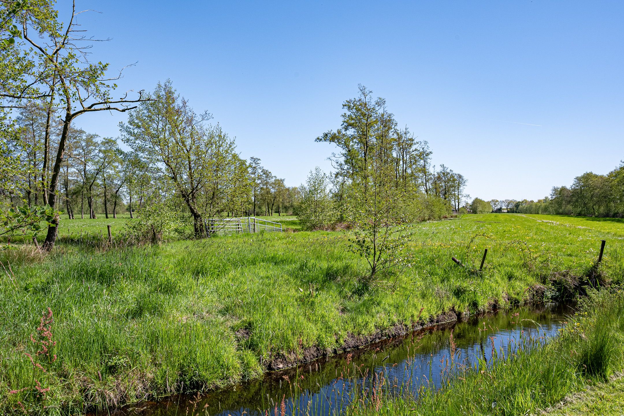 Photo 9 of Fiifhoeke 9