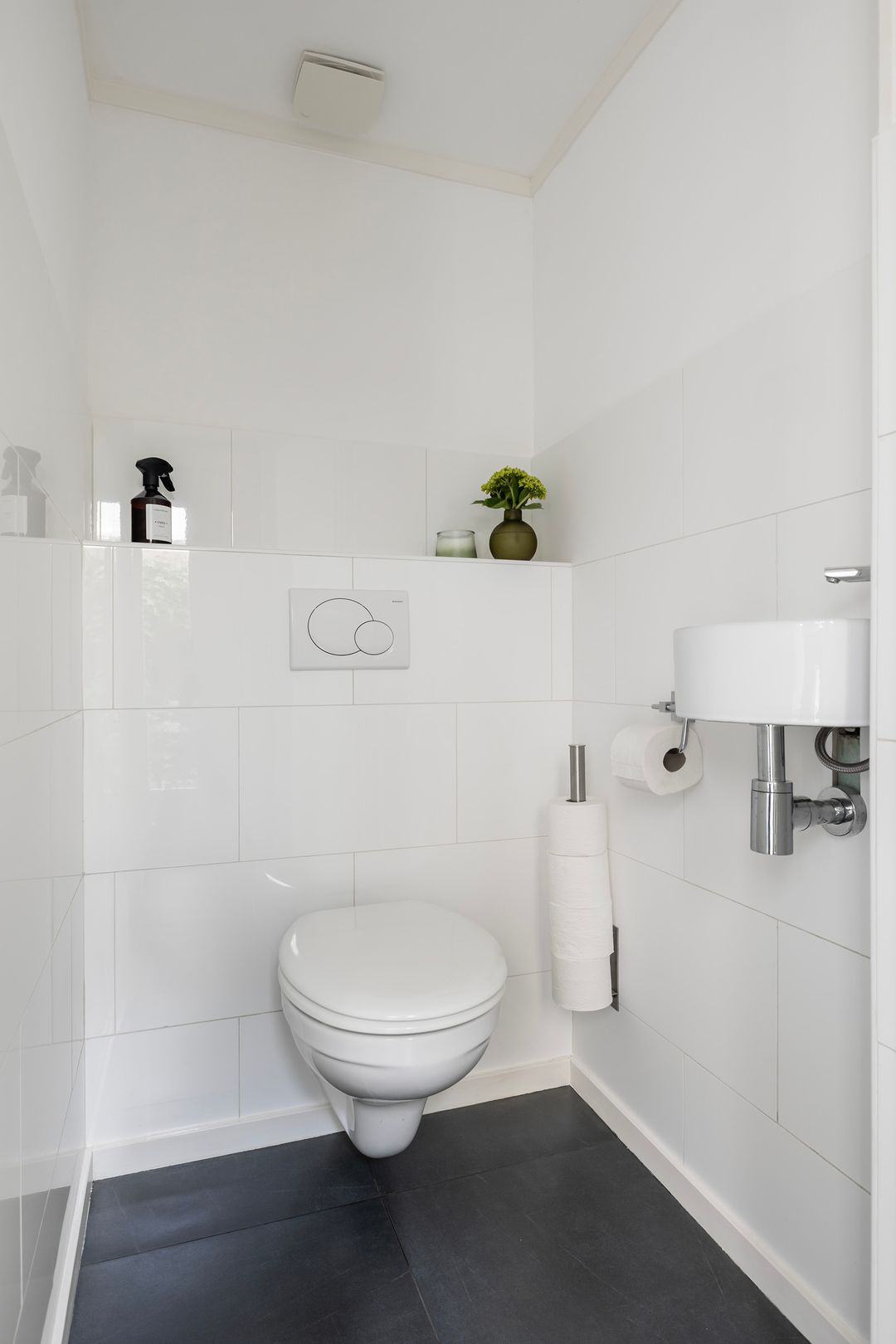 Photo 13 of Zenegroen 77