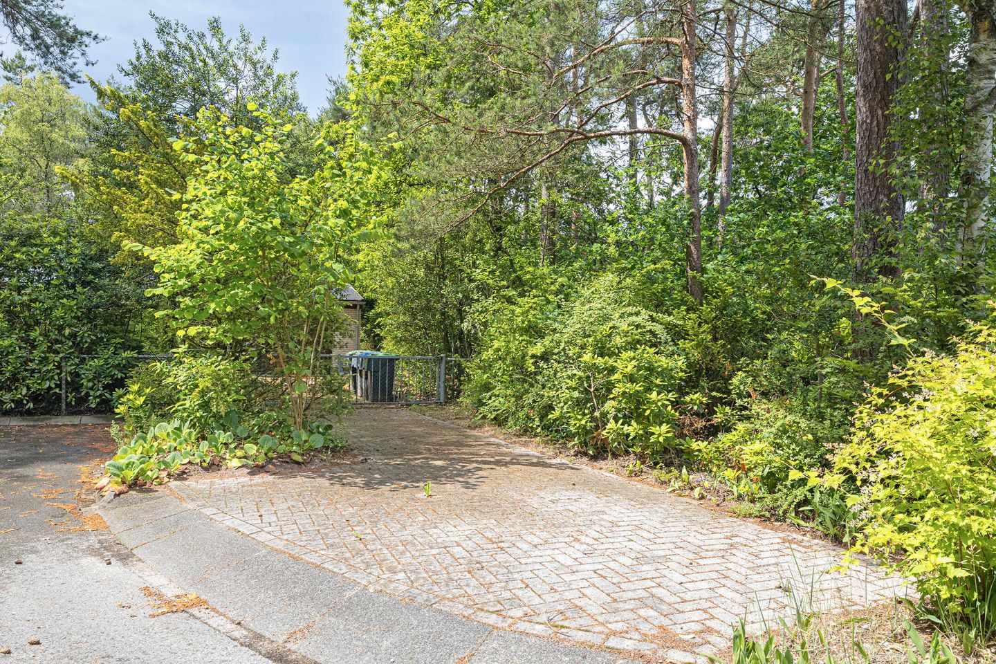 Photo 50 of Prins Johan Frisolaan 23