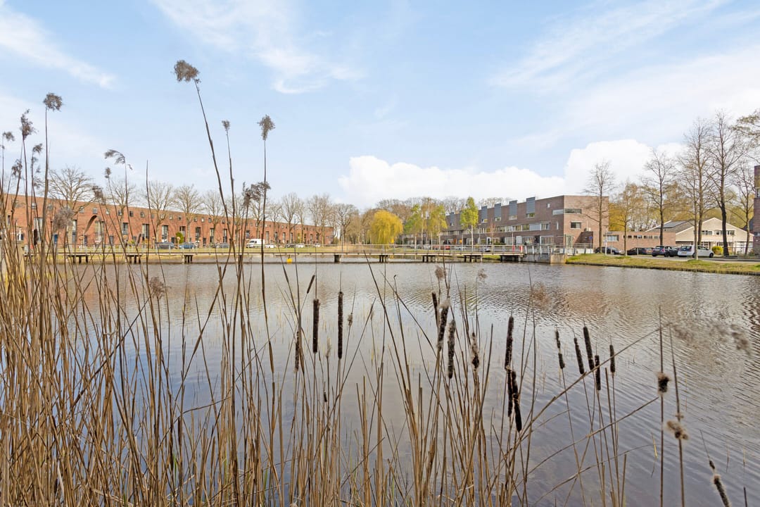 Foto 41 van Waterdriebladlaan 49