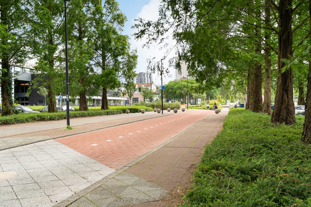 Photo 31 of Dr H. Colijnlaan 301