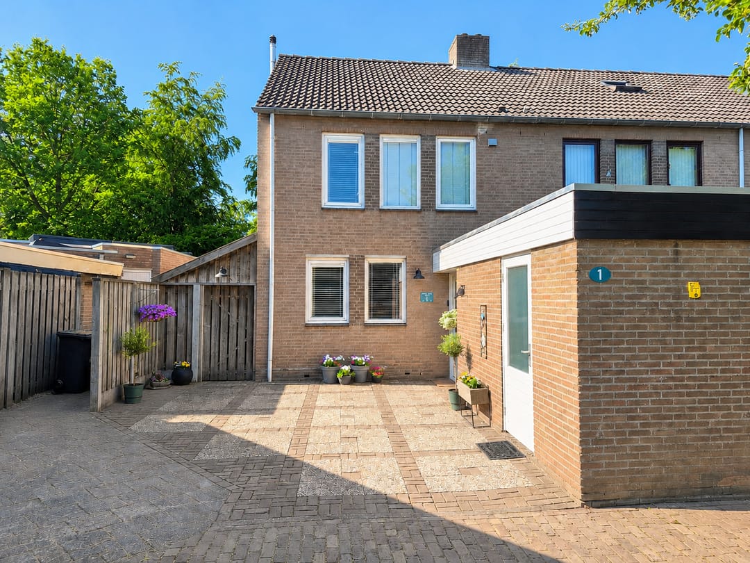 Photo 1 of Schutsboom 1