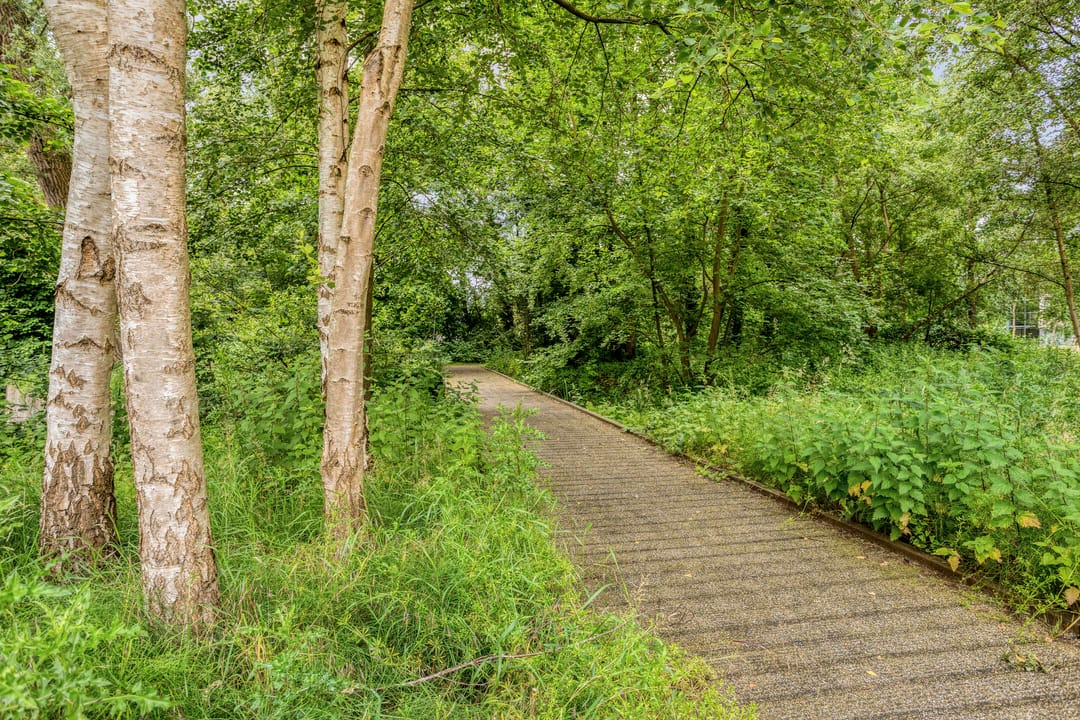 Foto 41 van Vloeiweg 37