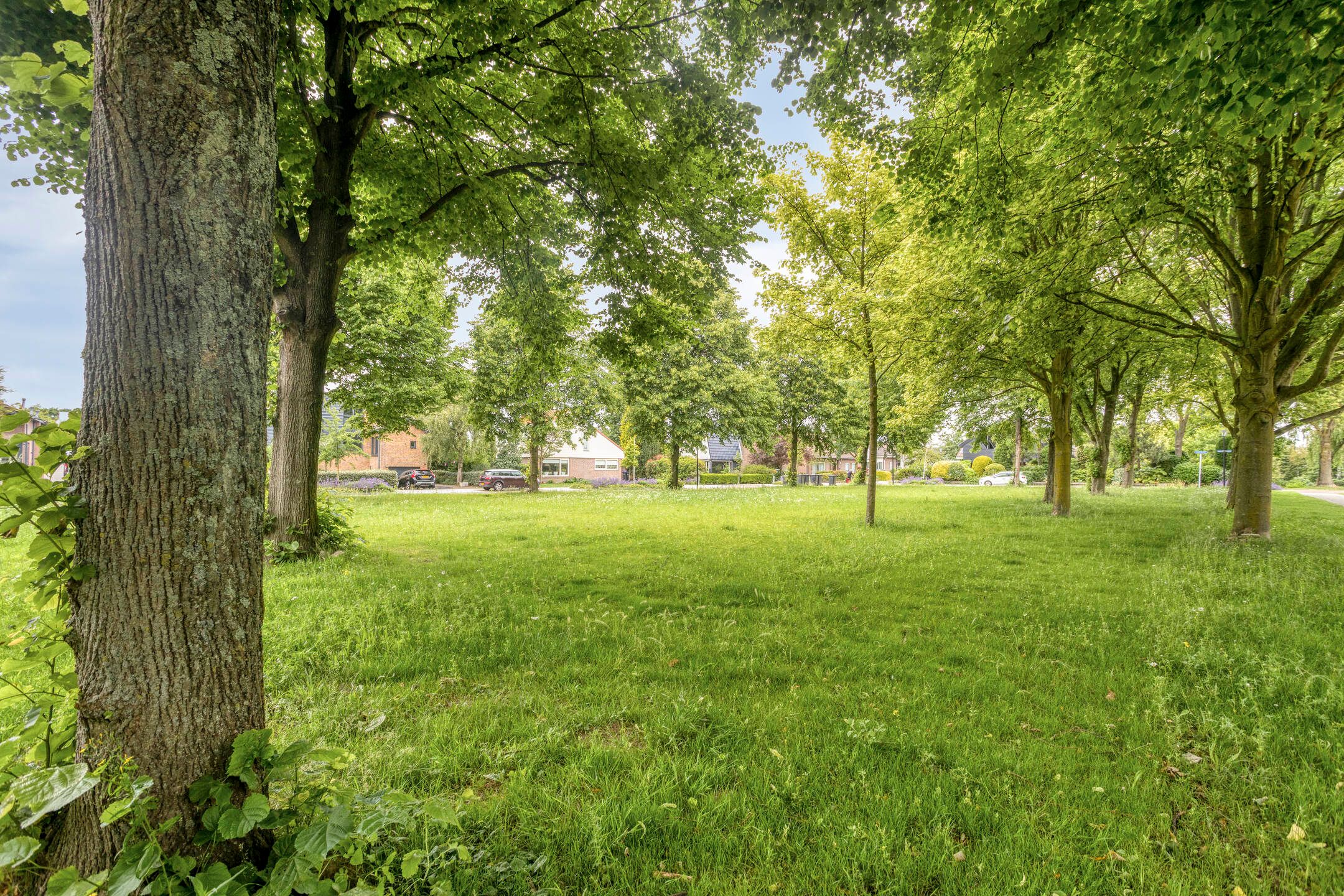 Photo 30 of Laan van Blois 16