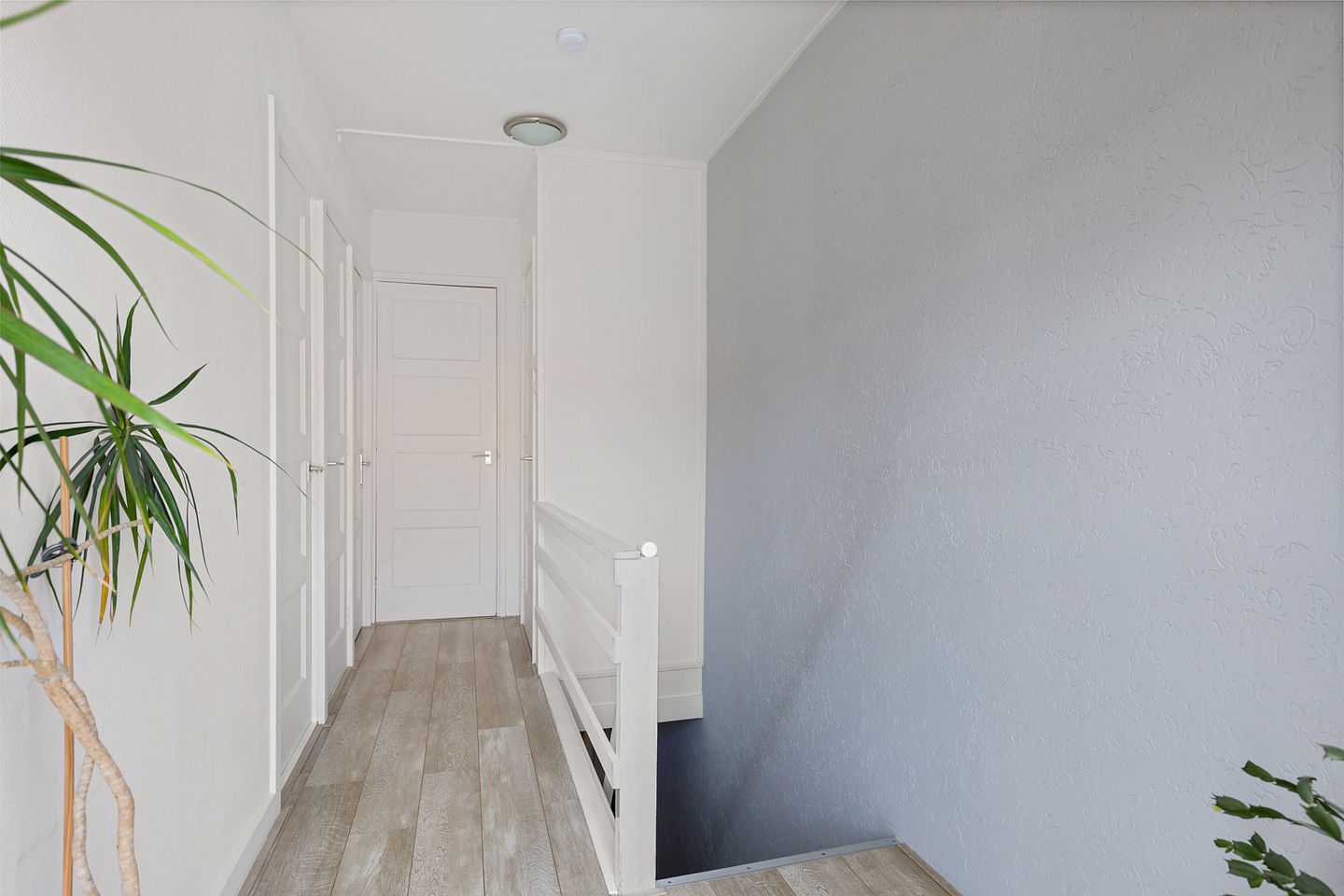 Photo 19 of Mendelssohnstraat 20