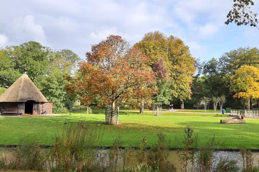 Photo 61 of Hofsingel 16