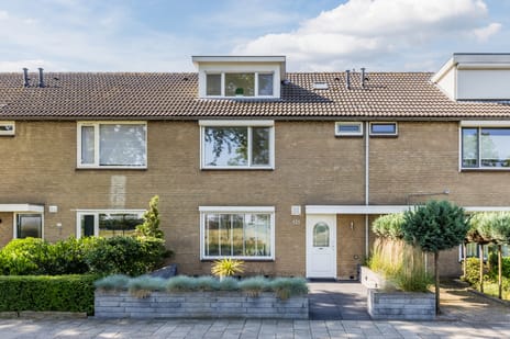 Noorderlaan thumbnail