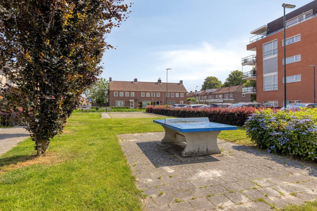 Photo 28 of Lange Mees 7